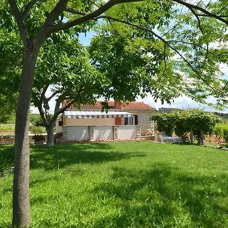 Casa Basilica *